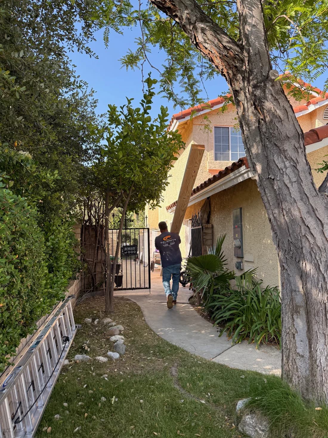 Dennis White carrying lumber down a path on a Santa Clarita jobsite.